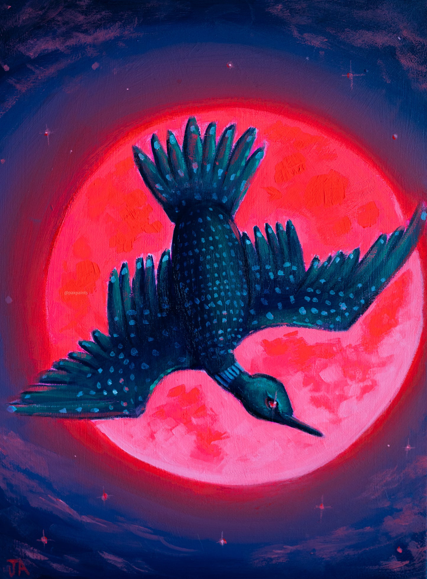 Tenacious Loon