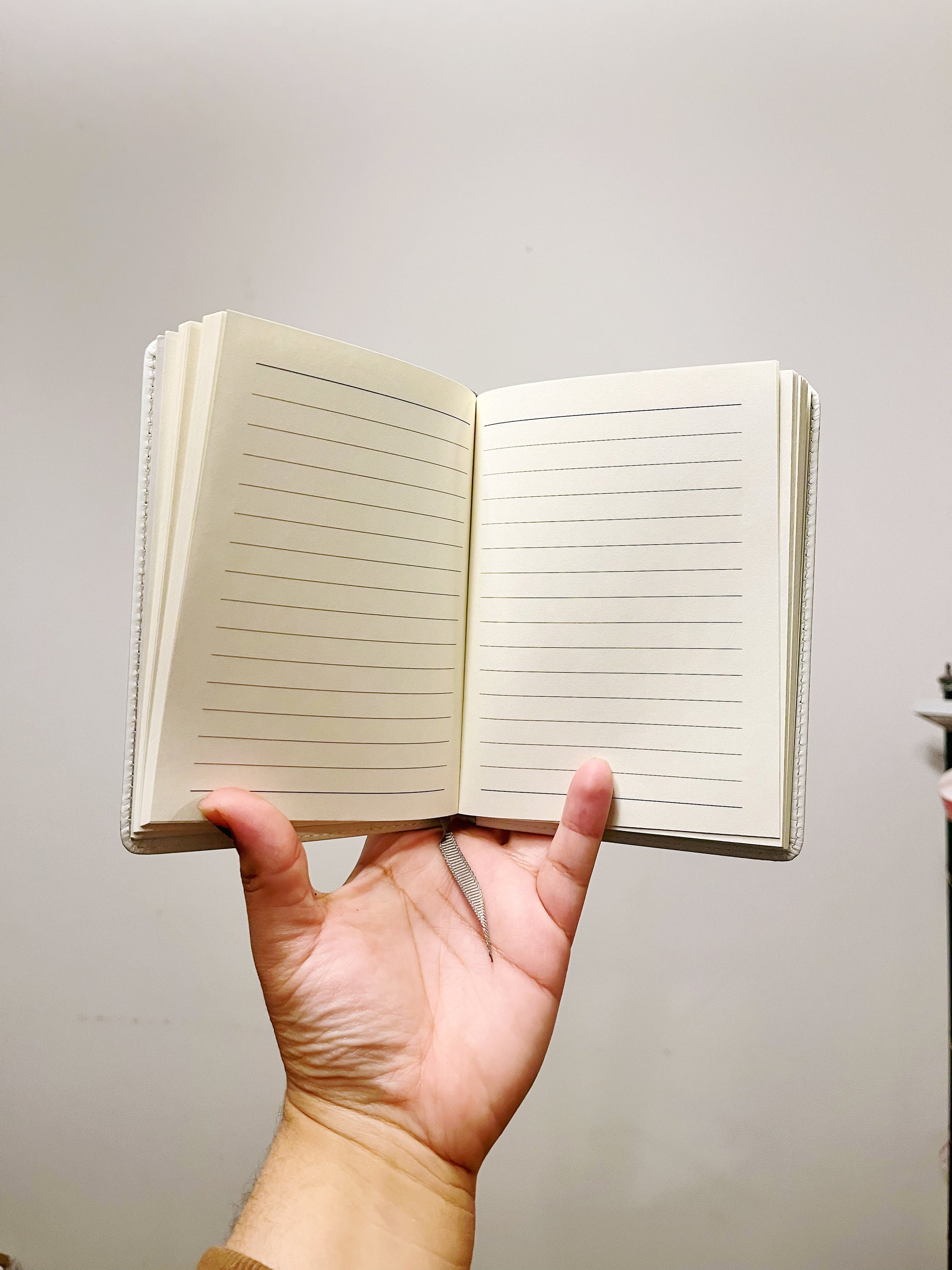 The Seeker (NOTEBOOK) – PaxPaints