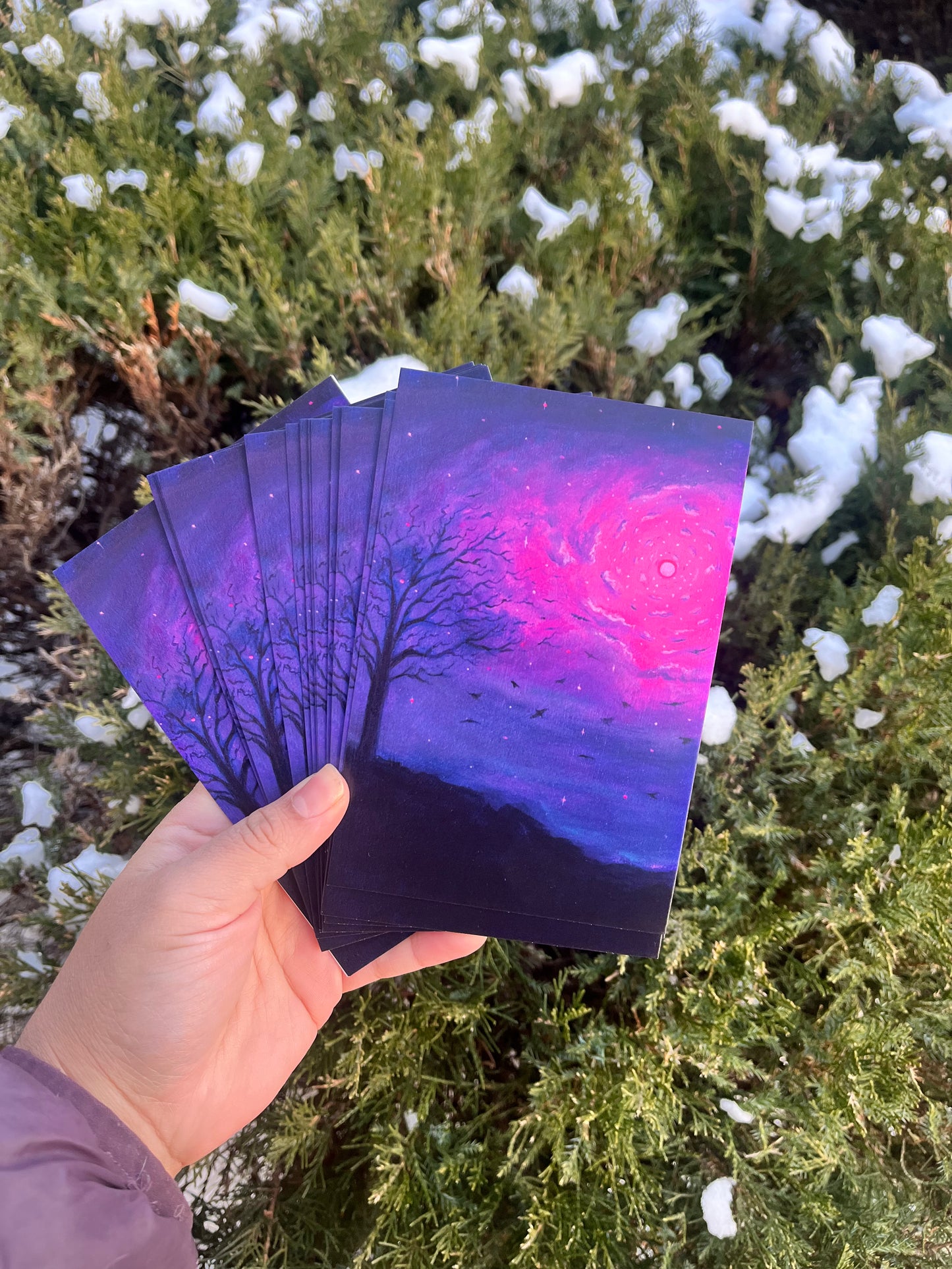 Toward the Light (POSTCARD)